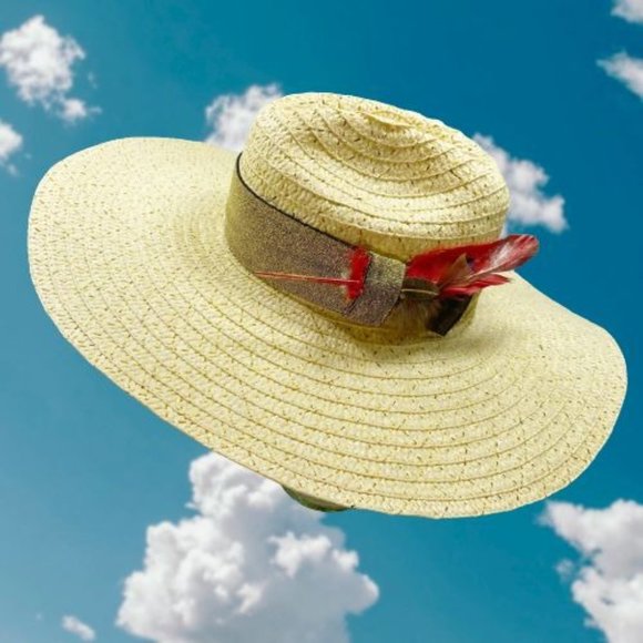 Extra Wide Brim Rancher main image 13